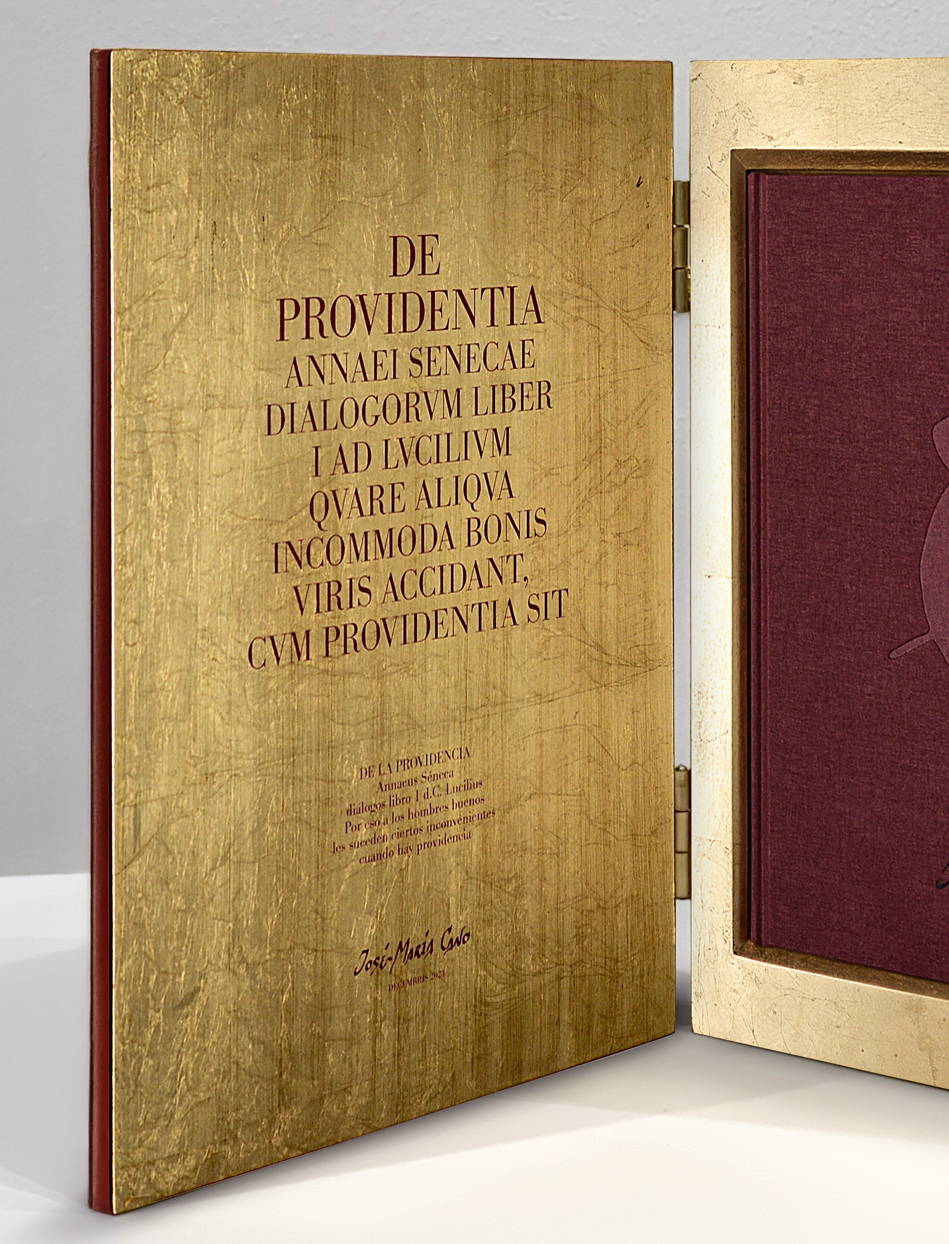 De Providentia
